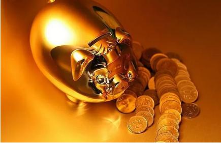 十二生肖金猪人的运势,十二生肖猪十月二十八日运势