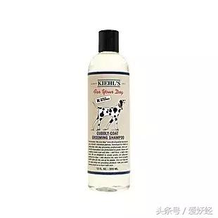 宠物洗护攻略,爱妖经养宠怎么玩