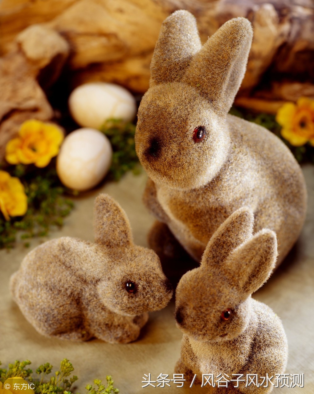 八月初二的兔今日财运,二月初八的生肖兔如何