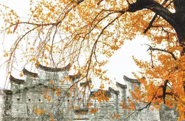 避开人潮去旅游,避开人潮的度假