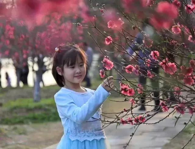 滚蛋吧,春困君!广东这些花花世界让你秒变龙马精神!