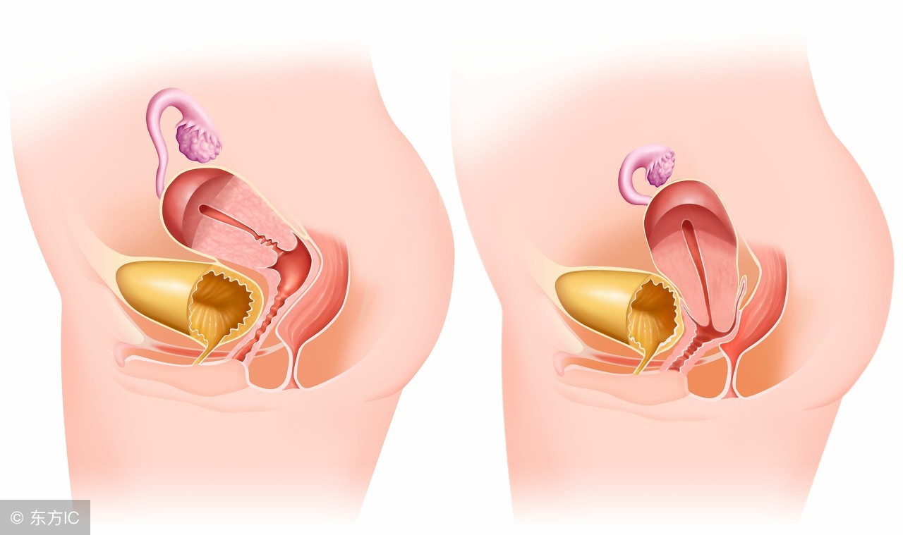 女性营养不良调理食谱,女子长期营养不良