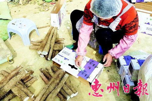 惠州农产品溯源,惠州质量追溯系统