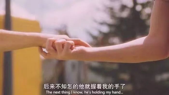 套路对象是猪的情话,撩你家猪的情话