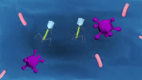 怀孕使用抗生素的危害,孕初期吃抗生素药有影响吗