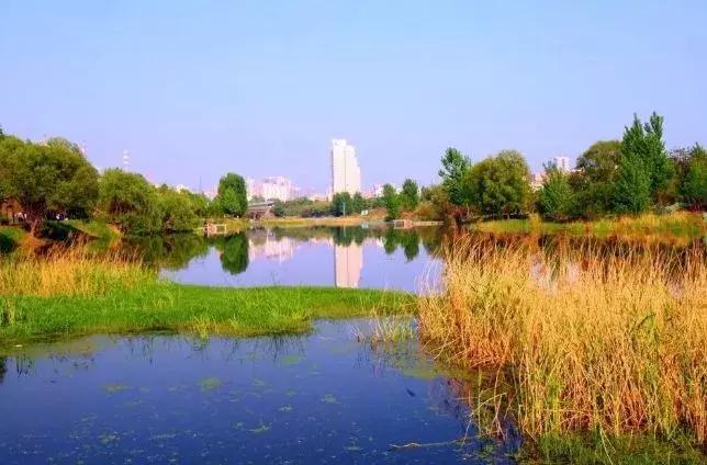 郑州中原新城改造,郑州大变样