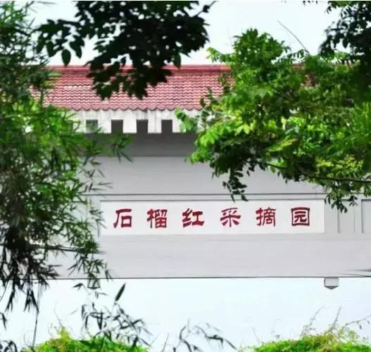 武汉比较靠谱的摘草莓基地,武汉市黄陂区摘草莓地方