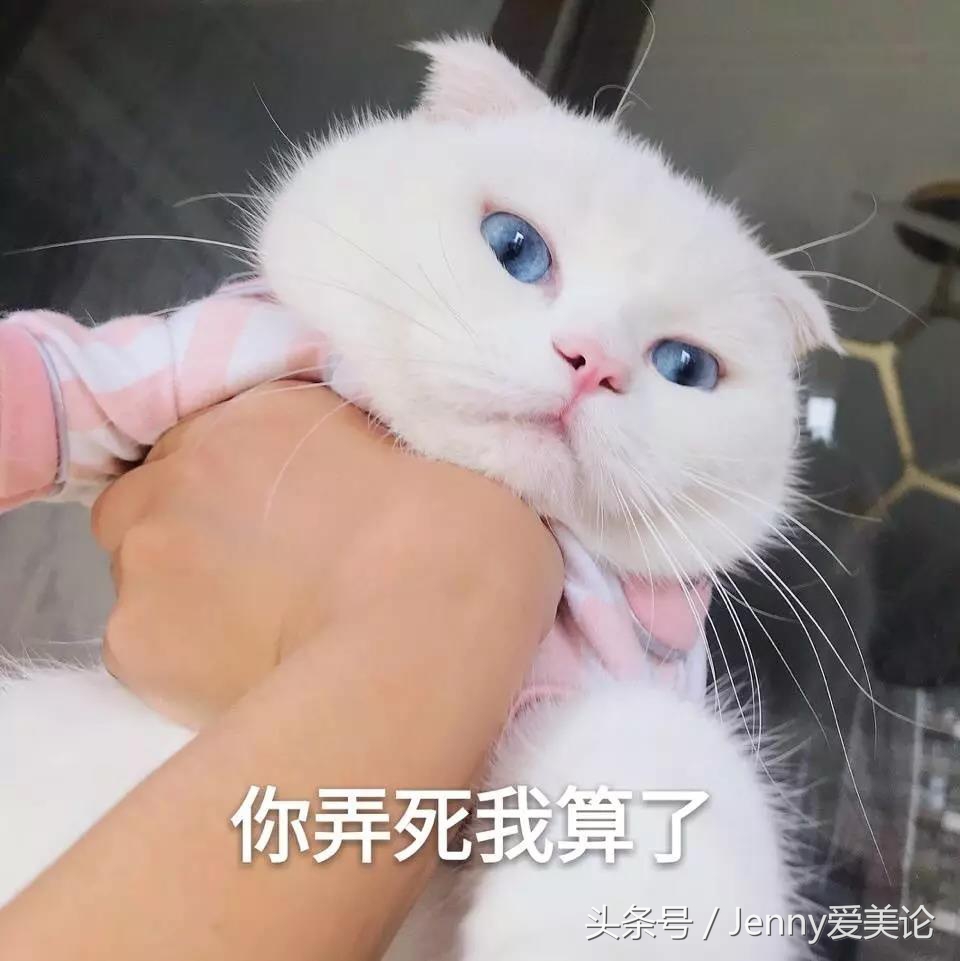 macdior,macdior哪个档次高