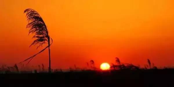 上海免费好玩的地方推荐带孩子,一日游适合带孩子玩的景点上海