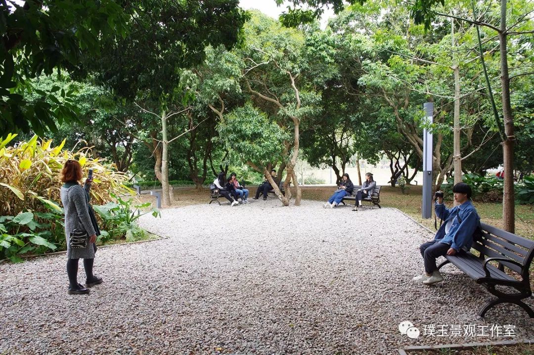 2019年香蜜湖公园,最新香蜜公园视频