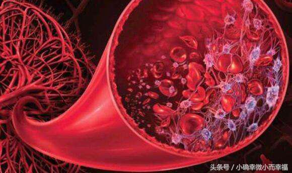 老鼠爬过的菜还可以吃吗,老鼠爬过的菜有毒吗