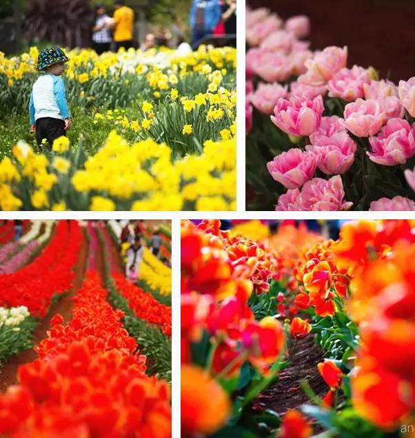 澳洲签证体检后多久签证可以获批,澳洲820签证转801签证需要多久