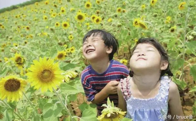 乡村生态旅游的发展策略,乡村旅游资源的开发经营