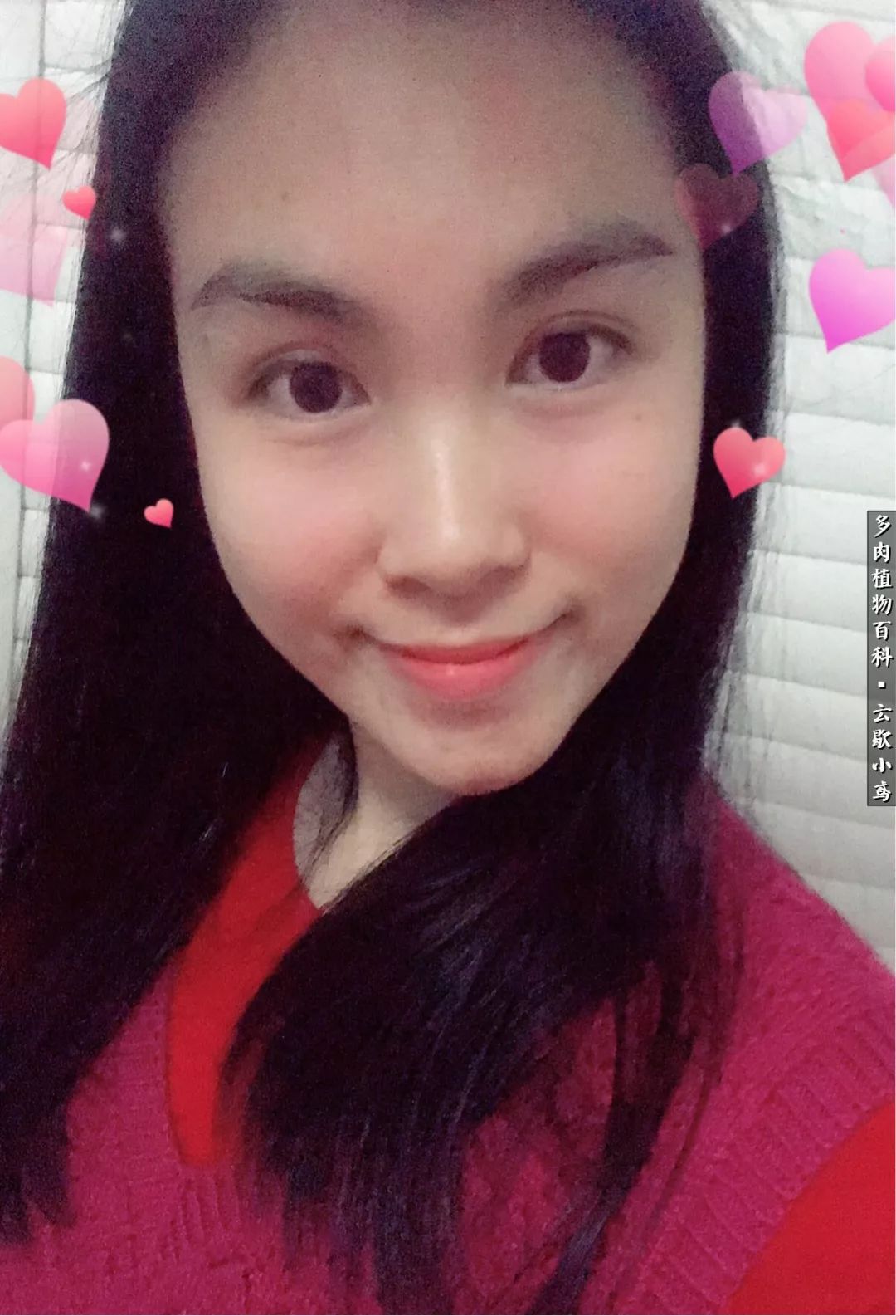 不负人间风月,不负人间风月创作的原声