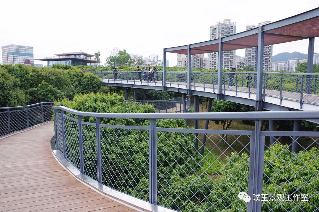 2019年香蜜湖公园,最新香蜜公园视频