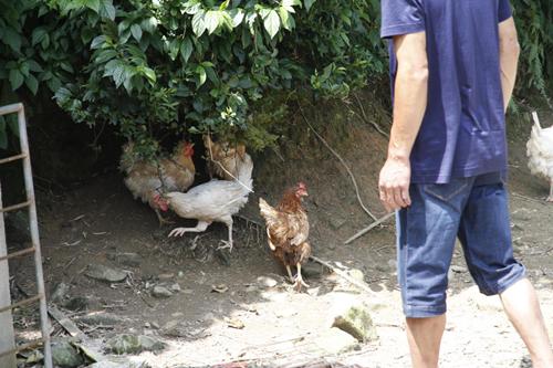 风控管理专员是什么,风控主要做什么工作