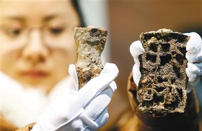 汗血宝马能买几辆兰博基尼,进口宝马和汗血马