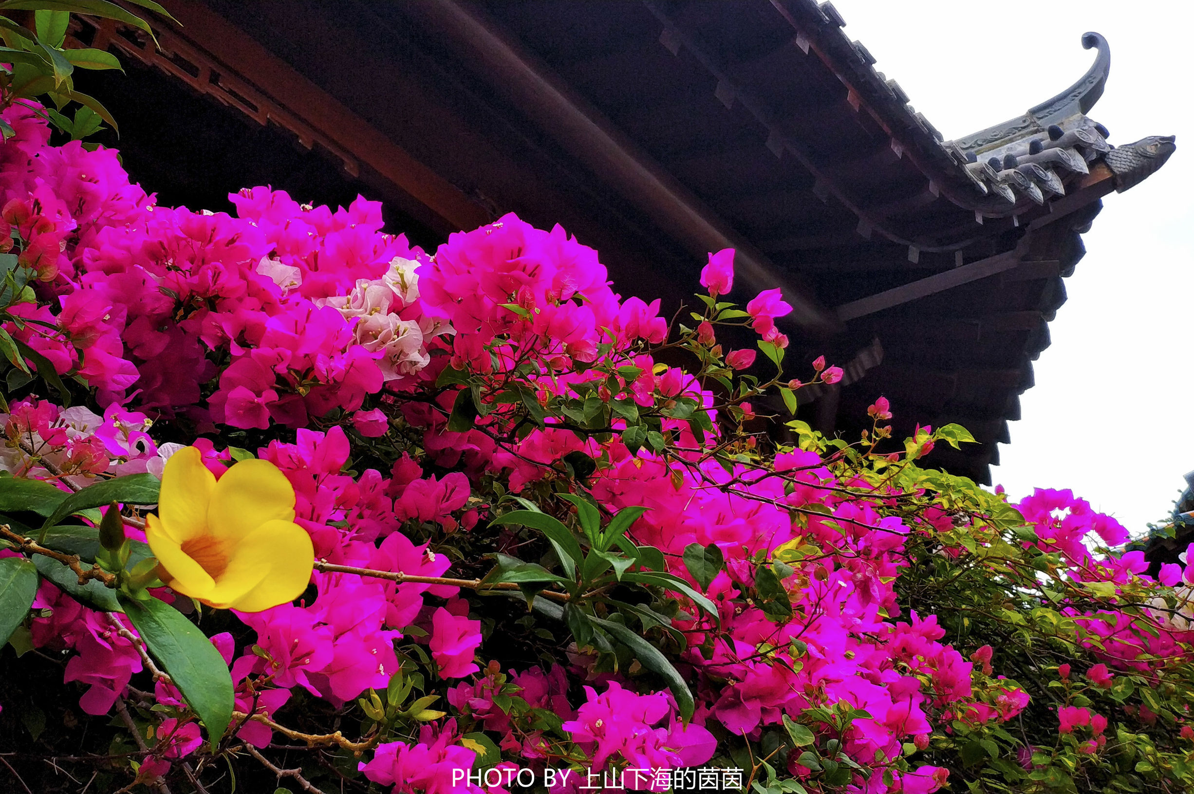 三亚亚龙湾华宇酒店房型,三亚亚龙湾华宇度假酒店至尊房