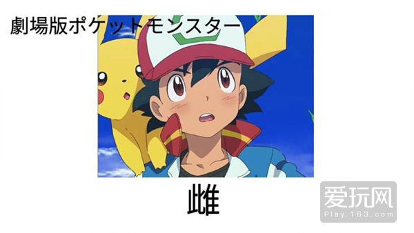 小智说miss为什么单身,小智单身的原因