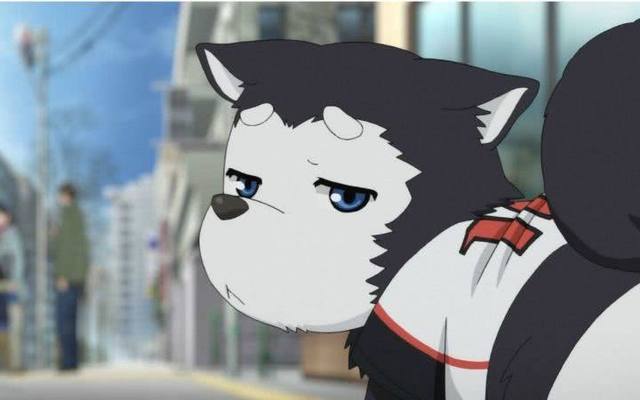 动漫中的那个可爱的狗,盘点狗狗的动画片