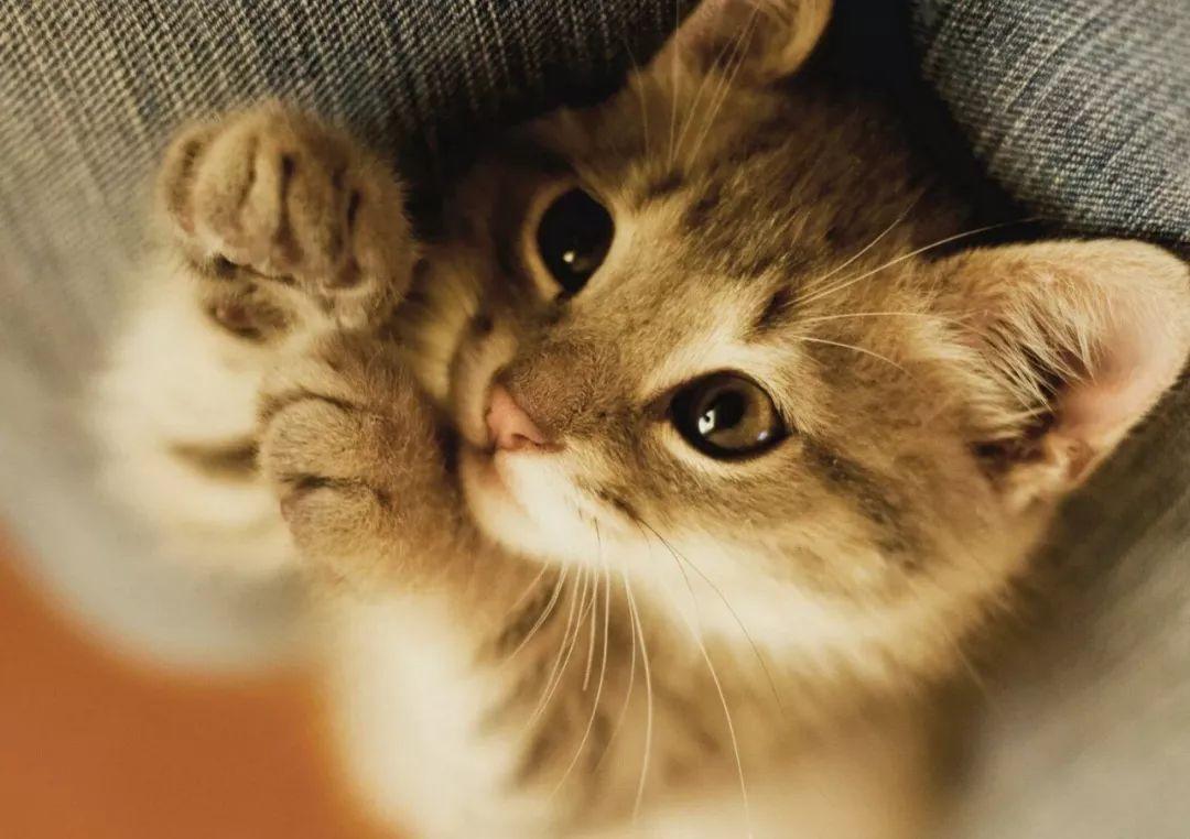 为啥抖音那么多博主都在卖广告,为什么许多博主卖号