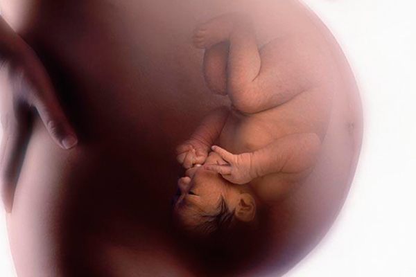 孕期每月重点补充的营养，关系到准妈妈和胎宝宝健康！快收藏起来