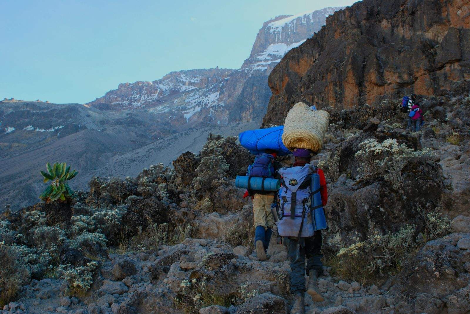 去看乞力马扎罗的雪,乞力马扎罗山的雪深度解读
