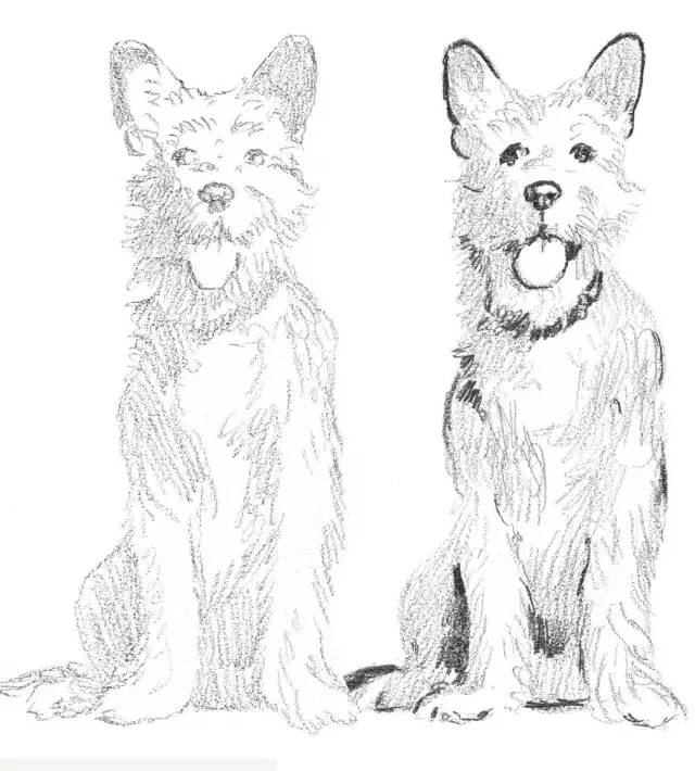 素描入门零基础教程动漫人物,素描入门零基础教程排线握笔