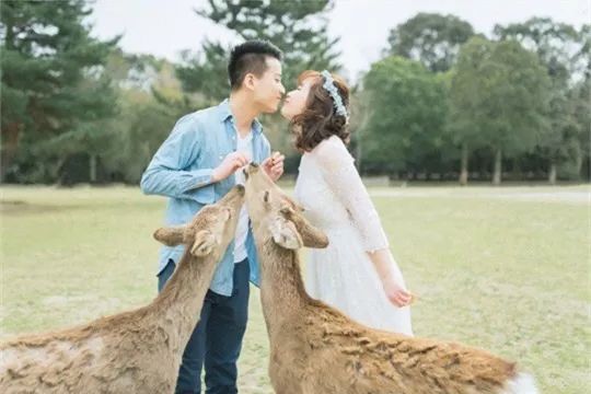 小清新婚纱照唯美图片,小清新婚纱照是不是很唯美啊