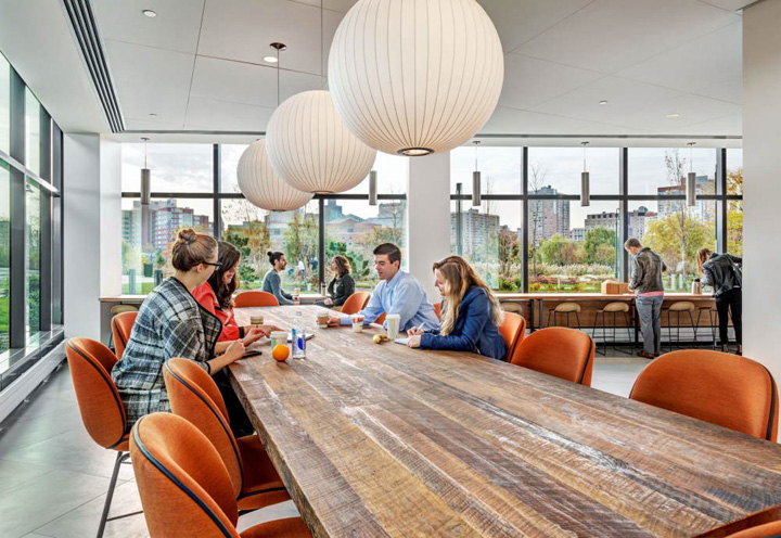 ef英孚教育宣传片50周年,英孚上海总部设计