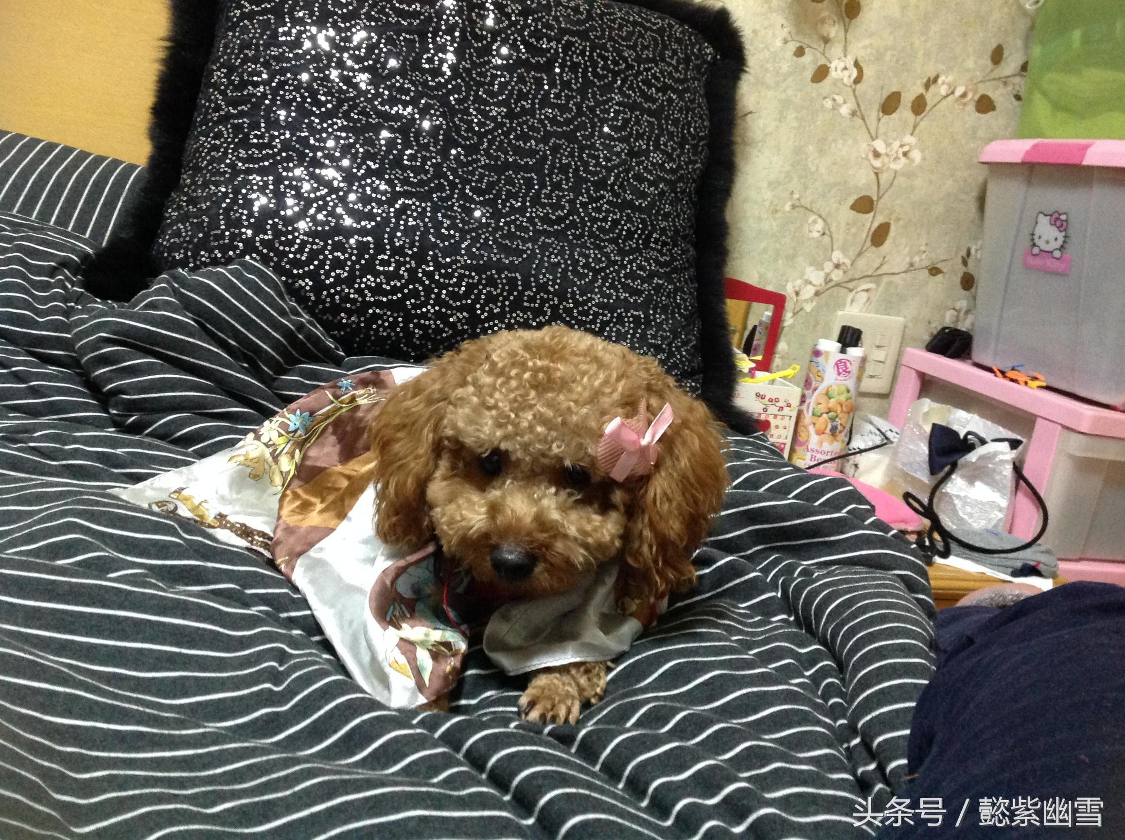 我的巧克力在哪里用英语怎么说,我的巧克力原版