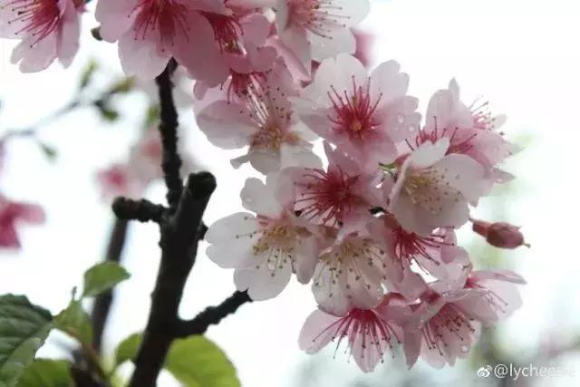 厦门大降温最新消息,厦门升温时间表