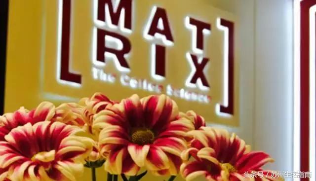 在苏州这些小众下午茶店里，享受最甜蜜的慢生活……