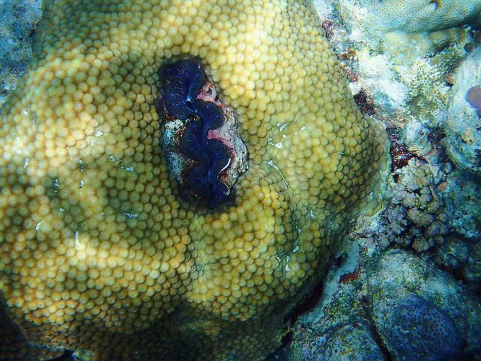 蜜月短途旅行,蜜月旅行遇见朋友闺蜜