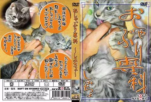 猫片大全及价格表,猫片是什么意思