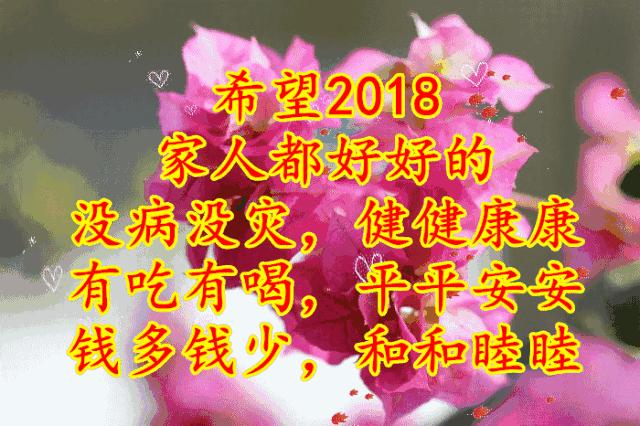 刚出的群主相册,有群的都看看,太美了,这一辈子见一次值了!