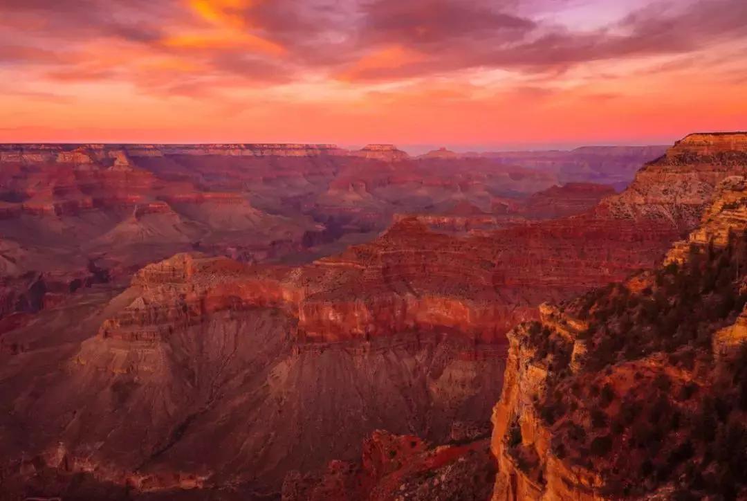 旅游签证被拒护照怎么刷白,旅游签证被拒签怎么办理护照