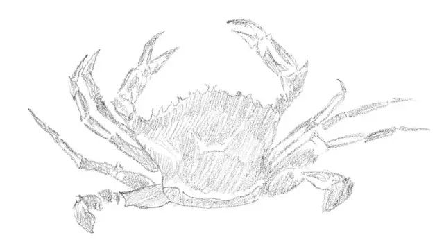 素描入门零基础教程动漫人物,素描入门零基础教程排线握笔