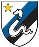 豪门队徽演变史,豪门足球俱乐部队徽图片