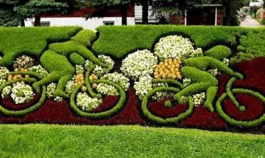 刚出的群主相册,有群的都看看,太美了,这一辈子见一次值了!