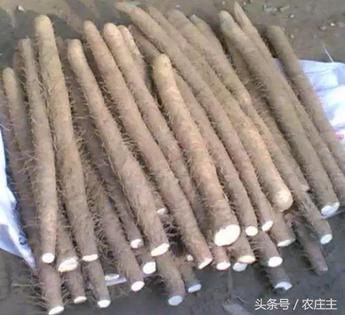 2018药材走势,2017年医药股走势