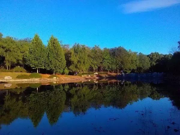 北京各区16处免费森林公园,森林公园北京有几个