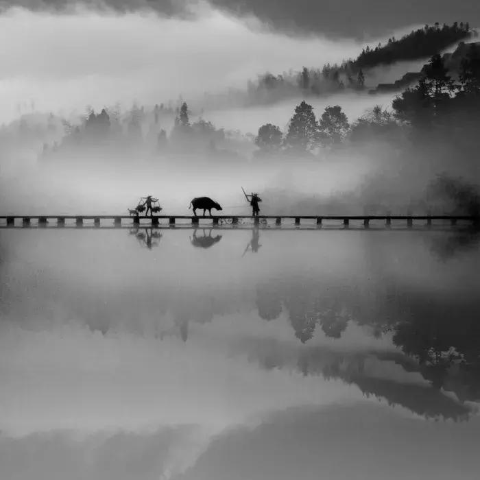 2018年全球华人摄影十杰,中国第18届国际摄影展入围作品