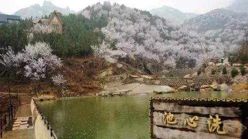 北京各区16处免费森林公园,北京最新40个公园