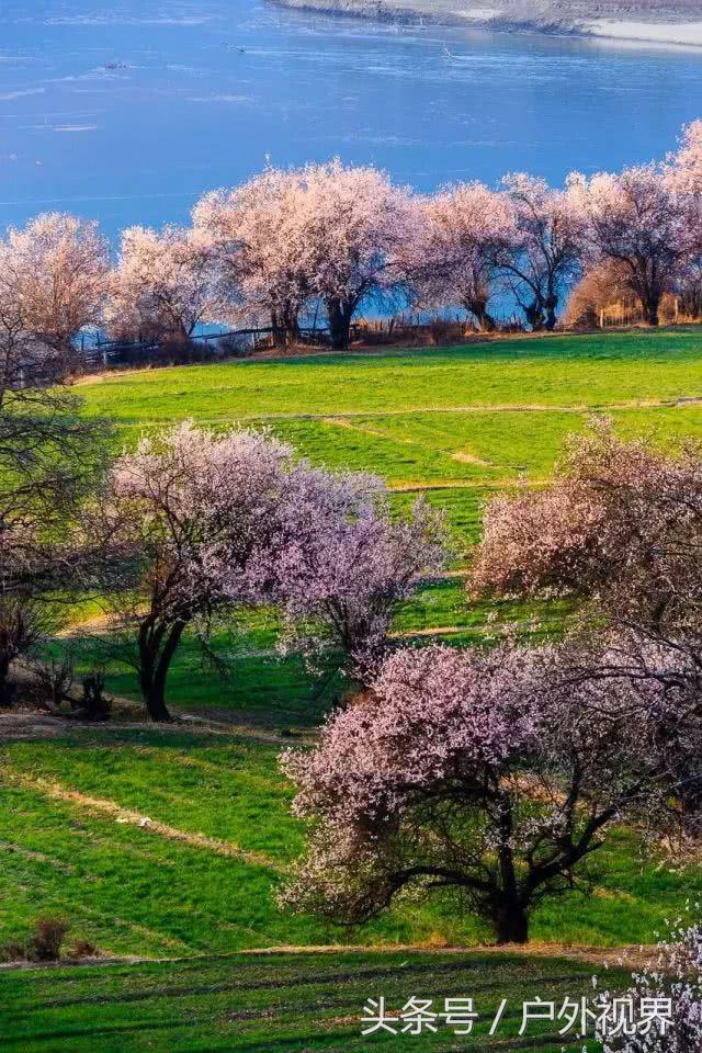 中国3月适合自驾的地方,自驾藏南旅游攻略