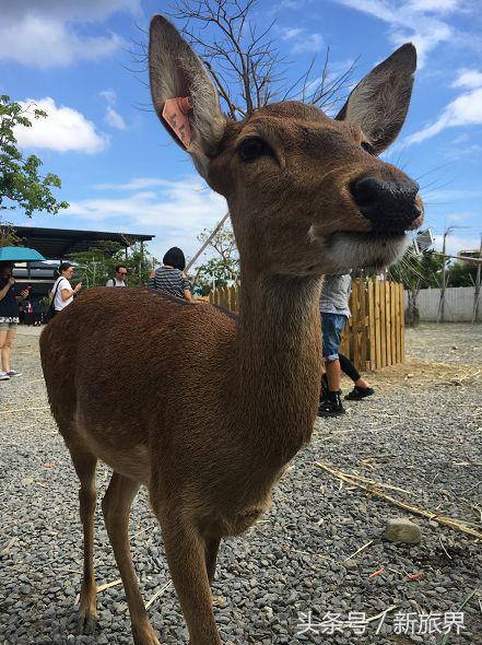 台湾垦丁如何玩,台湾垦丁怎样