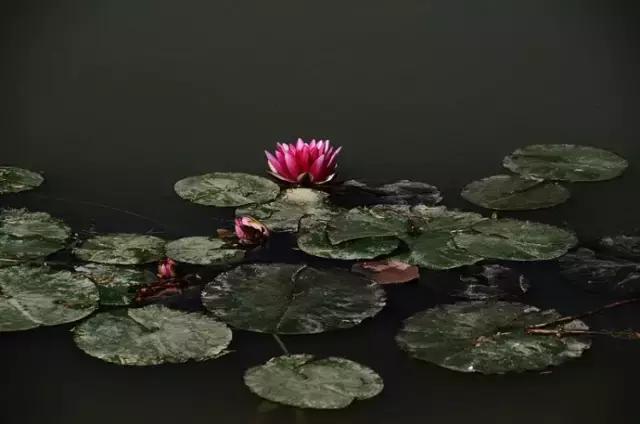 北京这38个森林公园您都去吗？先收藏了，有空咱们玩个遍！