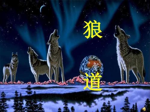 人在三界内，身在五行中，妄谈“佛系”后果很严重！