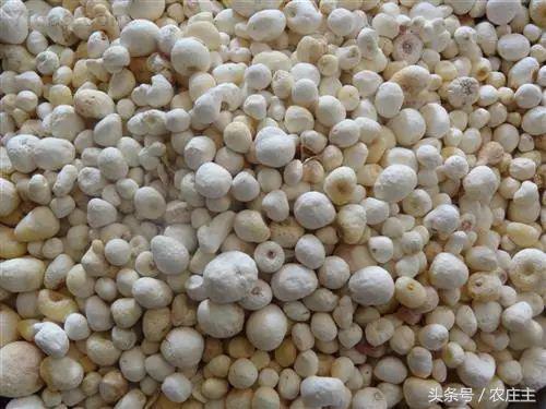 2018药材走势,2017年医药股走势