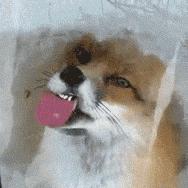 便宜到爆的彩妆,便宜到爆炸的彩妆